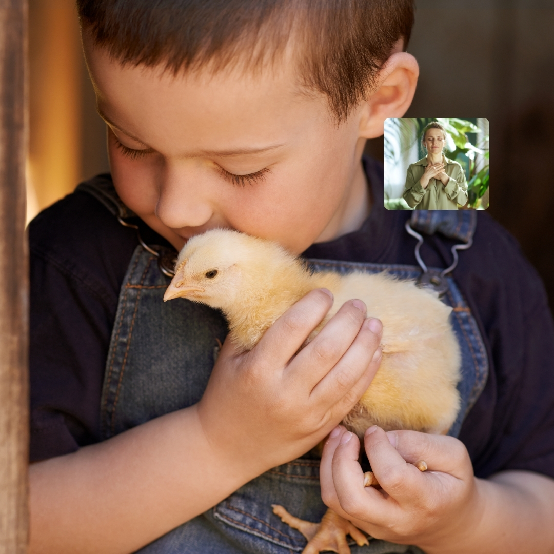 Person practicing gentle advocacy